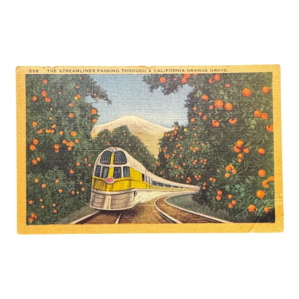 Vtg 1955 Postcard The Streamliner Passing Through A Ca Orange Grove Linen Posted